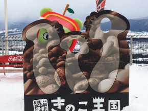 0124伊那スキーリゾート横4.jpg