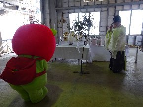 06.jpg