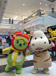 1227イオン佐久縦1.jpg