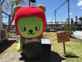 20160504_7638.jpg
