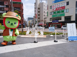 IMG_20160702_101647.jpg